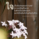 การฝึกฝนใจเพื่อความสุขและความเจริญในชีวิต