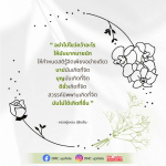 คำสอนหลวงปู่แหวน สุจิณโณ: สติและจิตในชีวิต