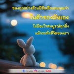 ภาพ No.16244:ทั่วไป