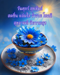 ภาพ No.14999:ภาพสวัสดียามเช้า