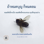 ทบทวนโอวาทหลวงพ่อธัมมชโย: หมดบุญ หมดลม