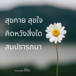 ธรรมะสั้นๆ ลึกซึ้งกินใจให้ข้อคิดข้อธรรม ทันสมัยเหมาะกับทุกยุคทุกวัย
