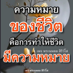 ภาพ No.10866:พระนพดล สิริวํโส