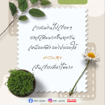 OP SOY - อาคมสด ทุกวัน | ปล่อยความสุขให้ชีวิต