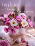 ภาพ No.14960:ภาพสวัสดียามเช้า