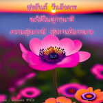  อีการ์ดภาพสวัสดียามเช้าส่งมอบเพื่อเป็นการทักทายให้กำลังใจเพื่อมิตรภาพในเช้าวันใหม่ของทุกๆ วัน