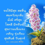 พระนพดล สิริวํโส - สร้างสุขและความมั่งคั่งในชีวิต