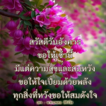 สวัสดีวันอังคาร: ความสุขและพลังในชีวิต