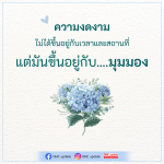 ความงดงามในมุมมองที่แตกต่าง - DMC Update