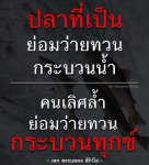พระนพดล สิริโส: ปลาที่ว่ายทวนกระแสน้ำในกระบวนทุกข์
