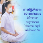 ภาพ No.15285:ทั่วไป