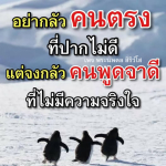 ภาพ No.14600:พระนพดล สิริวํโส