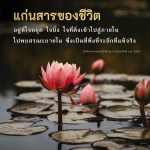 แก่นสารของชีวิต: การค้นพบสรณะภายใน