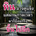 ภาพ No.13392:พระนพดล สิริวํโส