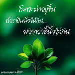 ภาพ No.14206:พระนพดล สิริวํโส