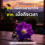 ภาพ No.16208:ทั่วไป