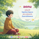 การอดทนและการไม่จองเวร: แนวทางสู่ความสงบ