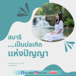 สมาธิ: บ่อเกิดแห่งปัญญา | DMC Update