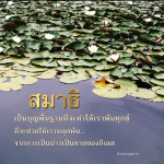 สมาธิ: ทางสู่การหลุดพ้นจากทุกข์