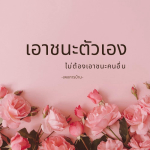 ภาพ No.15109:ทั่วไป