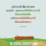 ไม้สั้นหรือยาว: ความหมายและการตีความตามหลวงพ่อชา