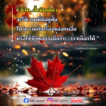 ชีวิตสั้นนิดเดียว: เลือกใช้ชีวิตอย่างมีสาระ