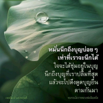 ต้นกล้าแห่งความดี: นึกถึงบุญเพื่อชีวิตที่ดีขึ้น