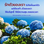 รักตัวเองอย่างมีสติ: ความสุขและความบริสุทธิ์ในชีวิต