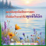 ภาพ No.16377:ทั่วไป