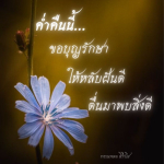 ภาพ No.9449:ราตรีสวัสดิ์