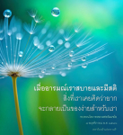 เมื่ออารมณ์สบายและมีสติ: คำสอนจากหลวงพ่อธัมมชโย