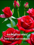 ภาพ No.14965:ภาพสวัสดียามเช้า