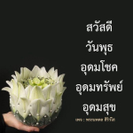 ภาพ No.8426:ภาพสวัสดียามเช้า