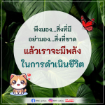 พลังชีวิตจากการมองเห็นสิ่งที่มี | DMC Update