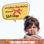 ภาพ No.16210:ทั่วไป