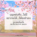 ภาพ No.15798:ทั่วไป