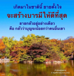 สร้างบารมีให้ดีที่สุด: ความตั้งใจของคุณยาย