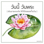 ภาพ No.15018:ทั่วไป