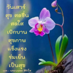 ภาพ No.12415:ภาพสวัสดียามเช้า