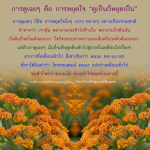 การดูเฉยๆ คือ การหยุดใจ: เข้าใจการปฏิบัติธรรมอย่างลึกซึ้ง