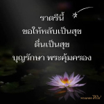 ภาพ No.9447:ราตรีสวัสดิ์