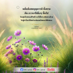 ภาพ No.16355:ทั่วไป