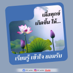 ภาพ No.16154:undefined