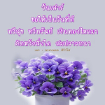 วันเสาร์ที่ดี: เงินทองไหลมา ทวีสุข ทวีทรัพย์
