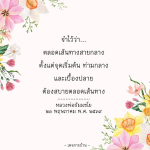เส้นทางสายกลาง: ความสบายตลอดการเดินทาง
