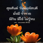 การ์ด No.8114:ภาพสวัสดียามเช้า