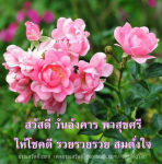 สวัสดีวันอังคาร พาสุขศรี - ให้โชคดี รวยรวยรวย