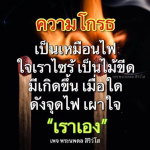 ความโกรธ: ไฟที่เผาใจ - พระนพดล สิริวํโส