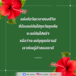 แข่งกับวันเวลา: การเติบโตและการพัฒนาตนเอง