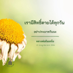 การ์ด No.15129:ทั่วไป